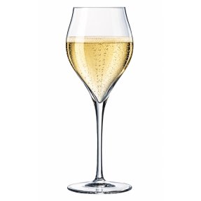 Exaltation champagneglas 30 cl 6 stk