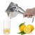 Citrus Juicer citrus- og appelsinpresse