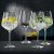 Nachtmann Gin & Tonic glas 4-pack