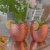 Moscow Mule Kobber Krus Hamrede 45 cl