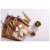 multi tool cheese wine