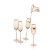 Soft Pink Fløjte Champagneglas 22 cl 4-pak