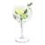 Vin Bouquet Gin & Tonic drinkglas 2-pack