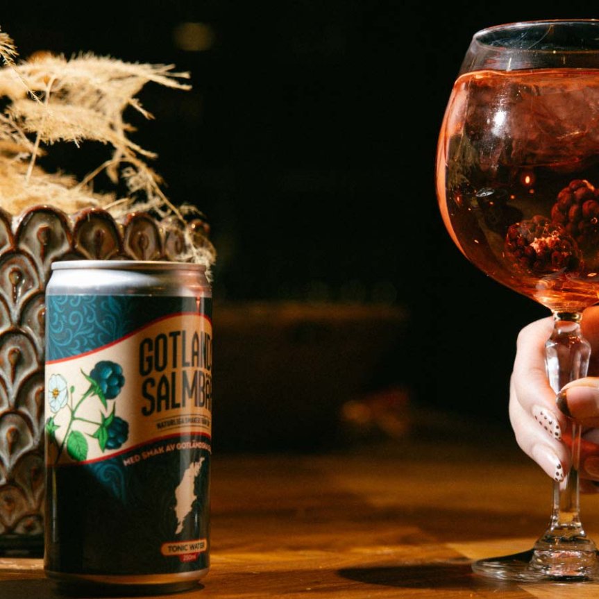 Gotlands Salmbær Tonic Water 25 cl