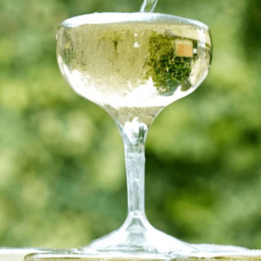 Tinto champagne glas coupe i plast 25,5 cl