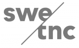 Swedish Tonic logotyp